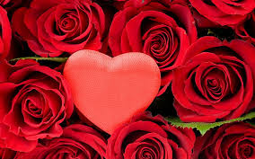 We did not find results for: Red Roses Red Pretty Lovely Romantic Romance Rose Bonito Roses Graphy Hd Wallpaper Peakpx