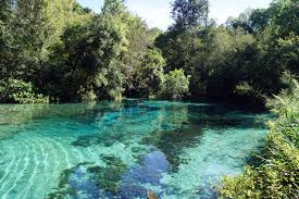 Our 15 Favorite Freshwater Florida Springs Celebrating The Sunshine State S Unique Treasures
