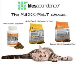 At petsmart, we never sell dogs or cats. Has Your Cat Tried Life S Abundance Grain Free Cat Food Healthy Pet Peeps