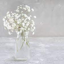 White is a classic symbol of perfection which means you should definitely plant some of these flowers in your backyard! Bouquet Of Small White Flowers In A Jar On A Grey Background Stock Photo Picture And Royalty Free Image Image 115002429