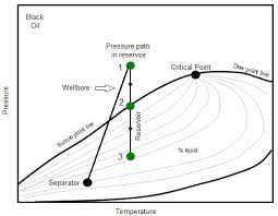 Reservoir Fluid Types