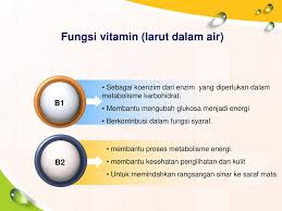 Bagaimana cara menaikkan dan menurunkan berat badan tanpa atau dengan olah raga tanpa ketat diet?ikuti program 10 atau 20 hari dari program. Vitamin Kelompok 5 Anugrah Nurfadillah F1c114060 Ppt Download