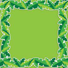 Eureka School You Can Toucan Palm Leaves Bulletin Board Border Backtoschool Classroomdecor Tropi Tropical Classroom Cactus Classroom Theme Eureka School