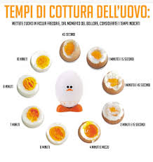 We did not find results for: Natural Gym Uovo Sodo E Patina Verde Nocivo Le Uova Facebook