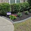 Trying out a new product | no dig edging. 1