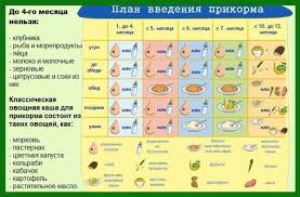 с чего начинать прикорм в 4 месяца на гв Pin Ot Polzovatelya Elena Kurdukova Na Doske Prikorm Sovety Beremennym Detskie Sovety Rebenok Prikorm