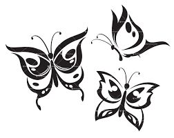 Background Border Design Black And White Butterfly Vector Butterflies White Butterfly Tattoo Butterfly Outline Butterflies Vector