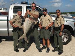 Fish Tale: Fwc Makes Tarpon Bust In Keys | Wlrn