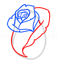 How To Draw A Rose Bud Rose Bud Step By Step Drawing Guide By Dawn Dragoart Com Roses Drawing Rose Buds Flower Drawing Tutorials Dragoart is a hand to hand drawing site.it can show you tutorials or you can just look at awsome pictures that have been. how to draw a rose bud rose bud step