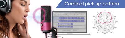 Amazon.com: FIFINE USB Podcast Condenser Microphone Recording On Laptop, No  Need Sound Card Interface and Phantom Power-K669 : Musical Instruments