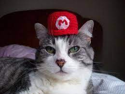 20 Quirky Cat Themed Etsy Crafts Super Mario Cat Pet Costumes Crochet Cat