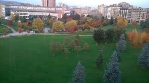 Inigo Aristu On Twitter Outdoor Farmland Plants