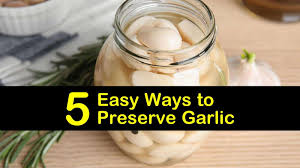 Well, garlic harvested in the summer and fall is kept in refrigerated storage in a nitrogen atmosphere for. 5 Easy Ways To Preserve Garlic