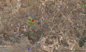 Image result for Plinthus cryptocarpus