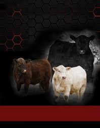 Effertz Key Ranch 47th Annual Bull Sale by LivestockDirect