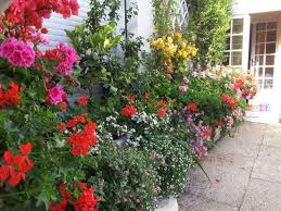 Terrasse Balcon Et Rebord De Fenetre Fleuris Les Plus Belles Photos Rebord De Fenetre Fleurs Fenetre