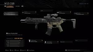 M13 is a filamentous bacteriophage which infects e. Warzone My Personal M13 Loadout Mwloadouts