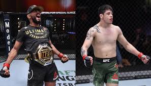 Brandon moreno was surprised by recent comments made by ufc 256 foe deiveson figueiredo. Ufc 256 Pro Fighters Make Their Picks For Deiveson Figueiredo Vs Brandon Moreno Title Fight Bjpenn Com