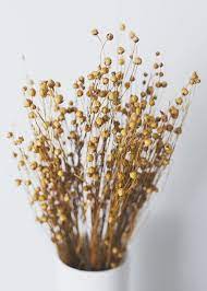 Dried Flax Grass In 2020 Dried Flower Bouquet Diy Dried Flower Arrangement Dried Flowers