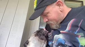 Sure do love coming home to his flat little face everyday!