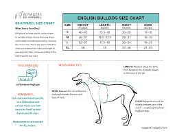 English Bulldog Size Guide Voyagers K9 Apparel