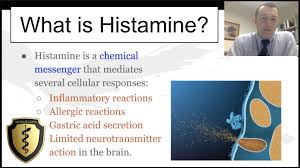 Image result for Histamine