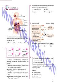 7 Sinif Fen Bilimleri Mevsim Yayinlari Ders Kitabi Cevaplari Sayfa 23 7 Sinif Fen Bilimleri Mevsim Yayinlari Ders Kitabi Cevaplari Sayf Kitap Sinif