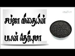 Sabja Seeds Sabja Seeds In Tamil Sabja சப ஜ வ த Youtube Seeds Benefits Gastric Problem Health Tips