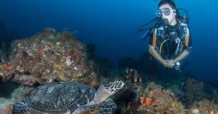 How To Spend 5 Days In St Lucia Sport Diver