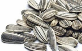 Atunci cand consumi mai multe calorii decat este capabil organismul sa arda, se. Semintele De Floarea Soarelui Ingrasa