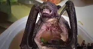 Top 10 Disgusting Foods The Chinese Eat Disturbing Listverse