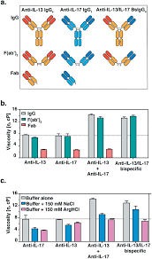 A Cartoon Representation Of Monospecific And Bispecific Antibody Download Scientific Diagram Please continue watching anime/cartoons as usual.