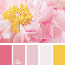 A color mixing table below will help get the necessary colors for oil painting. Pink And Yellow Color Palette Ideas