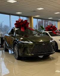 Image result for Nori Green 2025 LZ