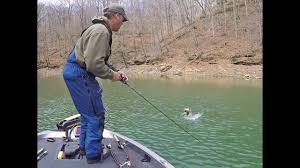 We did not find results for: Fishing Lake Cumberland In Ky Map Fish Species Lake Info