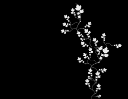 Check spelling or type a new query. Beautiful Black Wallpapers Top Free Beautiful Black Backgrounds Wallpaperaccess