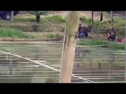 Kolam Pancing Di Jaranguda Berastagi Youtube