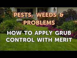 It is facilitated through a partnership of the university of alabama at birmingham (uab). How To Apply Grub Control With Merit Youtube