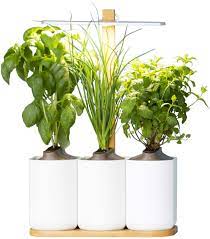 lilo your smart indoor garden easily grow your own fresh herbs all year round includes basil mint and chives amazon de garden