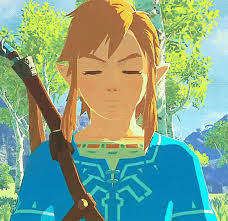 Ready for new adventures with link? Legend Of Zelda Breath Of The Wild Gif Legend Of Zelda Breath Of The Wild Link Discover Share Gifs