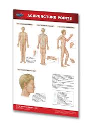 Acupuncture Points Poster Reflexology Medical Poster Quick Reference Chart