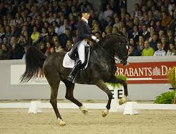 Everything you want to know about anky. Anky Van Grunsven Riding Salinero Anky Van Grunsven From H Flickr