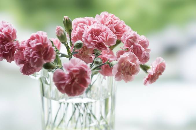 The Meaning Behind Popular Valentine's Day Flowers