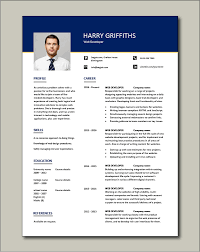 Web Developer Resume Example Cv Designer Template Development Jobs Website Internet