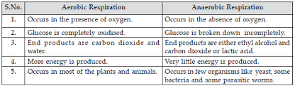 Check spelling or type a new query. Ncert Solutions For Class 7 Science Chapter 10 Respiration In Animals And Plants