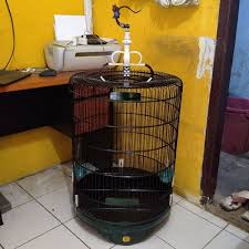 Di vidio saya kali ini menjelaskan. Jual Kandang Murai Merk Oriq Ukuran No 2 Kandang Burung Sangkar Burung Di Lapak Toko An Nur Bukalapak