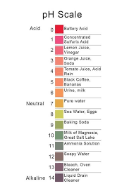 Pin By Science Archive On Science Facts Teaching Chemistry Teaching Science Science Chemistry