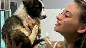 Fundraiser by Deborah Clemente : un piccolo Aiuto, una grande Speranza