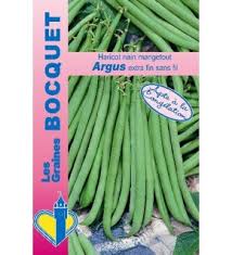 Haricot A Rames Mangetout Princesse Du Pevele 90g Graines Bocquet