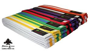 This is a very accurate name as the fighting style is a combination of many different styles found in. Taekwondo Belt Bi Colour Martial Arts Belt Striped All Colours And Sizes Ebay